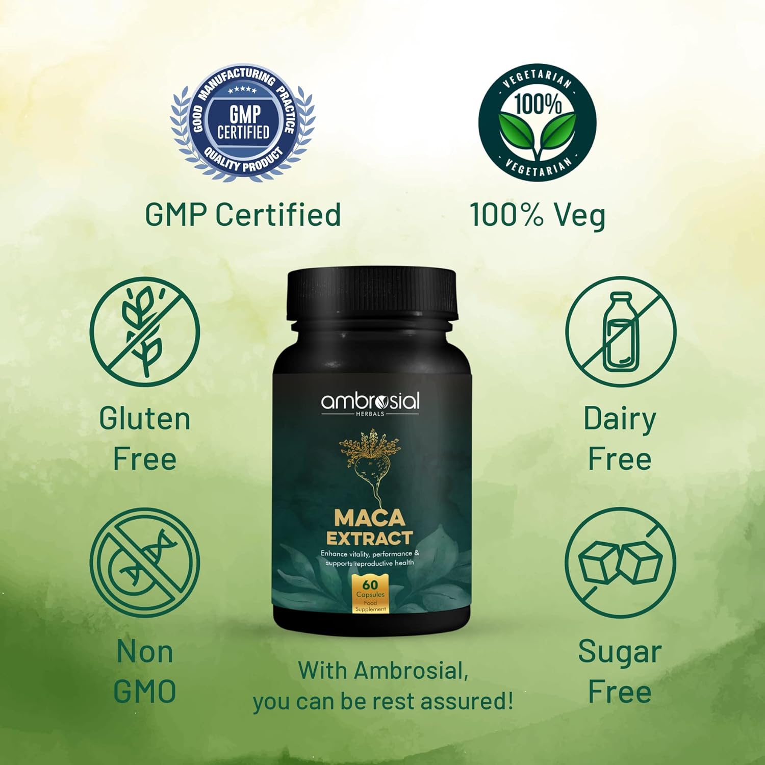 Ambrosial Maca Root Capsules for Women & Men - High Strength 500 Maca mg per Capsule, Supports Stamina & Energy - Natural Maca Root High Strength (Pack of 2-120 Capsules)