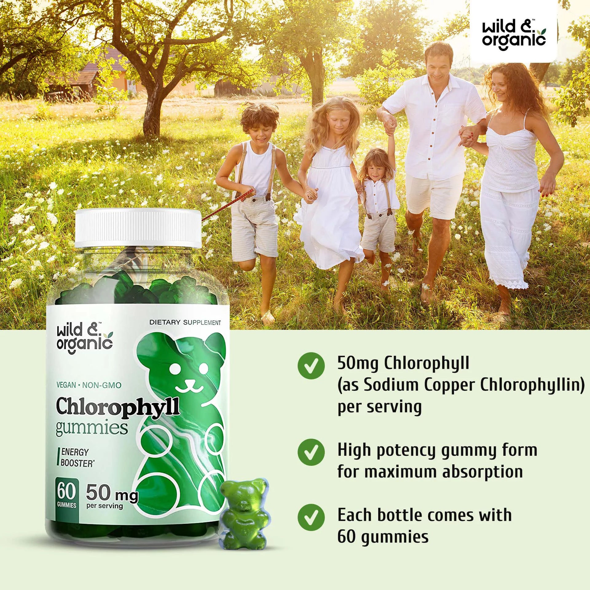 Chlorophyll Gummies - Natural Energy Booster Chlorophyll Supplement, 60 Chews