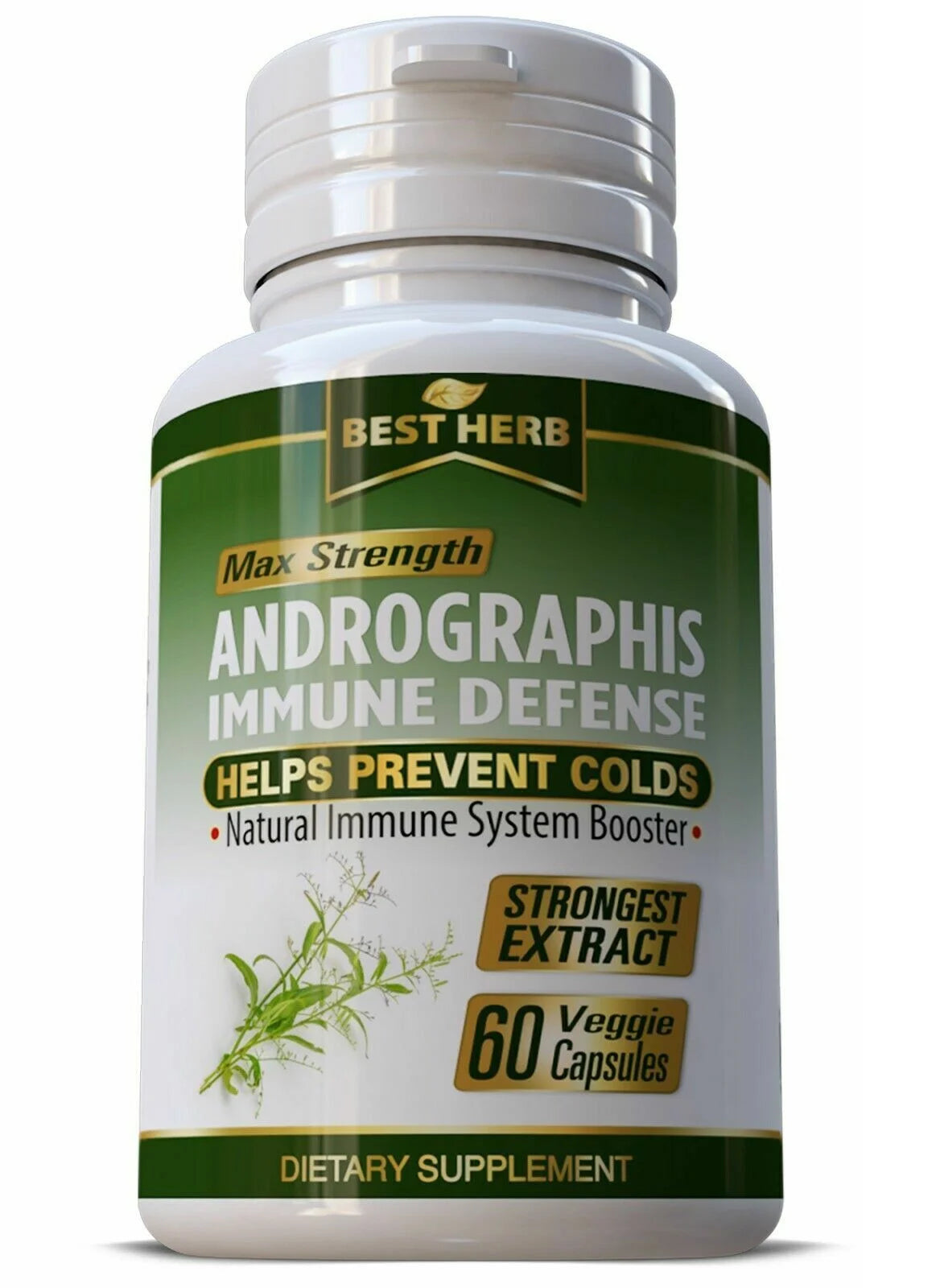 Max Strength Andrographis Healthy Immune System Support Supplement